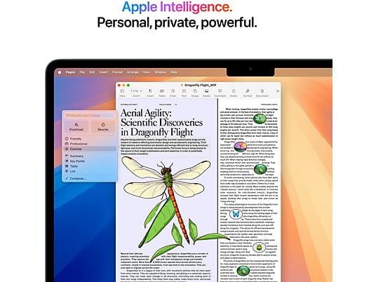 Apple MacBook Air 13 inch - M4